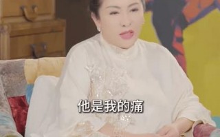 向太回应为什么不提小儿子向佑：他是我的痛