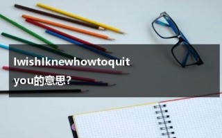 IwishIknewhowtoquityou的意思？（i wish you know什么意思）
