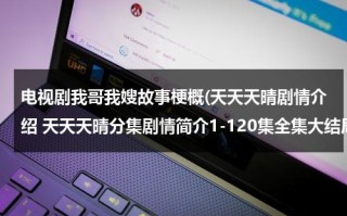 电视剧我哥我嫂故事梗概(天天天晴剧情介绍 天天天晴分集剧情简介1-120集全集大结局)（我哥我嫂演员表剧情简介）