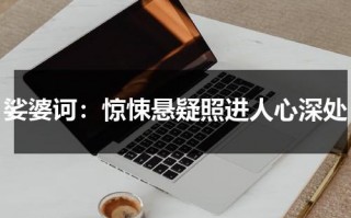 娑婆诃：惊悚悬疑照进人心深处（娑婆诃百度百科）