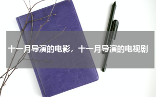 十一月导演的电影，十一月导演的电视剧