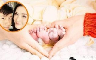 谢娜二胎生女惹争议，难道她还会再生第三胎？