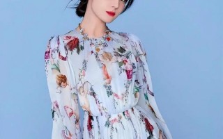 导演透露迪丽热巴春晚摔骨裂忍痛坚持完成表演值得赞扬