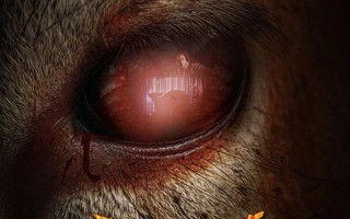 小鹿斑比：清算 Bambi- The Reckoning