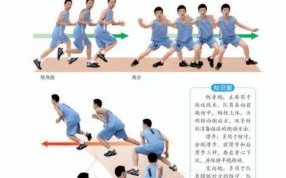 初中男生室内操视频教程-身高178cm体重75kg适合练习指南