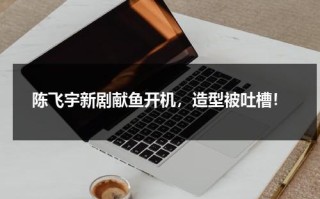 陈飞宇新剧献鱼开机，造型被吐槽！