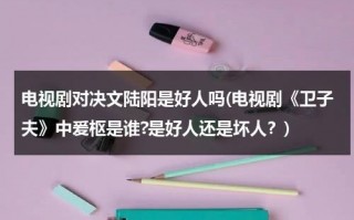 电视剧对决文陆阳是好人吗(电视剧《卫子夫》中爰枢是谁?是好人还是坏人？)（小说对决六儿免费阅读）