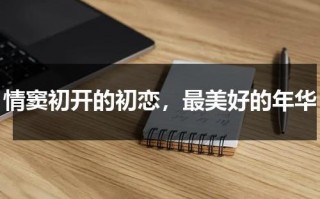 情窦初开的初恋，最美好的年华（情窦初开时的感情）