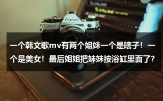 一个韩文歌mv有两个姐妹一个是瞎子！一个是美女！最后姐姐把妹妹按浴缸里面了？（韩国歌曲两个女生唱的）