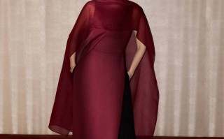 高圆圆穿酒红色纱裙美貌养眼 尽显女神范