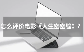 怎么评价电影《人生密密缝》？
