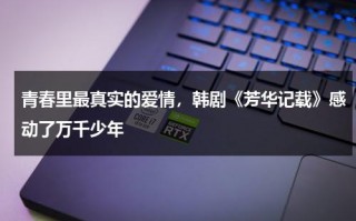 青春里最真实的爱情，韩剧《芳华记载》感动了万千少年（芳华hd）