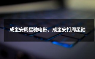 成奎安周星驰电影，成奎安打周星驰（周星驰与成奎安）