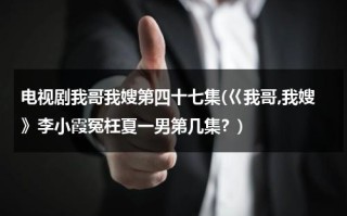 电视剧我哥我嫂第四十七集(巜我哥,我嫂》李小霞冤枉夏一男第几集？)（我哥我嫂演员名字大全）
