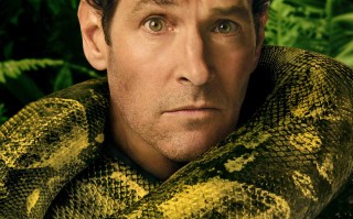 《新狂蟒之灾》1月9日上映 “蚁人”雨林整狠活！