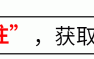 收手吧向佐！别再侮辱观众智商了，花2亿拍个烂片雷人又无脑（向佐 掌掴）