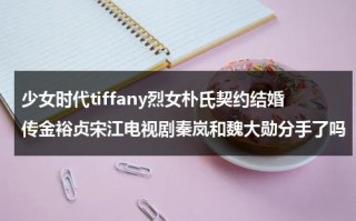 少女时代tiffany烈女朴氏契约结婚传金裕贞宋江电视剧秦岚和魏大勋分手了吗（朴素妍原来是少女时代队长）