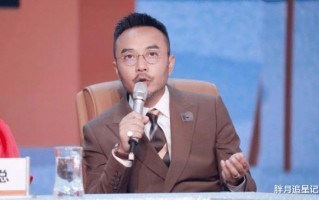 汪涵：从封神一哥到翻车倒地，他的结局和“眼瞎”脱不了干系