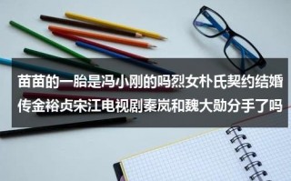 苗苗的一胎是冯小刚的吗烈女朴氏契约结婚传金裕贞宋江电视剧秦岚和魏大勋分手了吗（苗苗和冯小刚有啥关系）