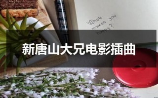 新唐山大兄电影插曲