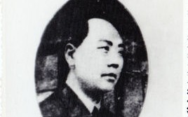 张汇滔（张汇滔纪念园在哪里）