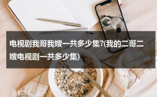 电视剧我哥我嫂一共多少集?(我的二哥二嫂电视剧一共多少集)（我哥我嫂二哥结局）