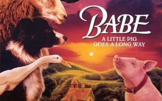 小猪宝贝 Babe