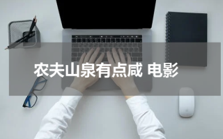农夫山泉有点咸 电影