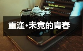 重逢·未竟的青春（重逢未晚txt百度）