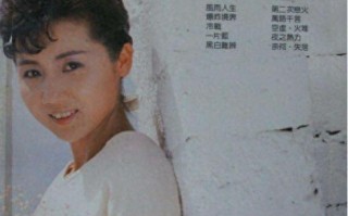 张德兰：登春晚一夜成名，婚后改行学医，如今年过六旬无儿无女