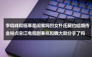 李晓峰和杨幂是闺蜜吗烈女朴氏契约结婚传金裕贞宋江电视剧秦岚和魏大勋分手了吗（影视演员李晓峰女）