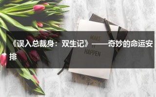 《误入总裁身：双生记》——奇妙的命运安排（误入总裁房炎非墨最新章节更新内容）