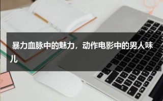 暴力血脉中的魅力，动作电影中的男人味儿（暴力电影动作最新）