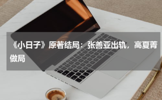 《小日子》原著结局：张善亚出轨，高夏菁做局