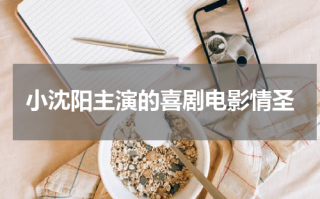 小沈阳主演的喜剧电影情圣
