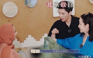大农化与少年丝路季：王安宇扛住英文压力，迪丽热巴扛住行程压力