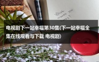 电视剧下一站幸福第30集(下一站幸福全集在线观看与下载 电视剧)（下一站幸福40集在线观看）