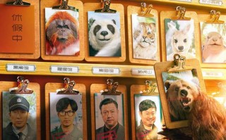 动物园里有什么？
