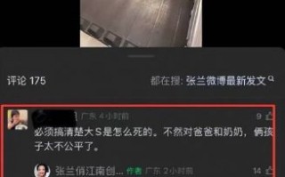 张兰赴日本引争议：见男友还是调查大S死因？