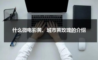 什么微电影黄、城市黄玫瑰的介绍（城市黄玫瑰作文）