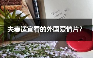 夫妻适宜看的外国爱情片？（适合夫妻观看的电影推荐中国）