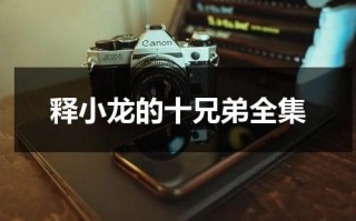 释小龙的十兄弟全集（释小龙2020新电视剧）