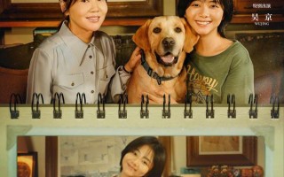 再见，李可乐 So Long For Love
