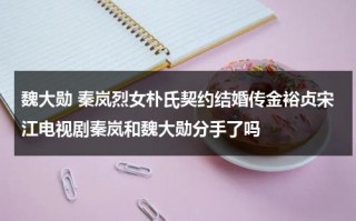 魏大勋 秦岚烈女朴氏契约结婚传金裕贞宋江电视剧秦岚和魏大勋分手了吗（魏大勋演过的韩剧）