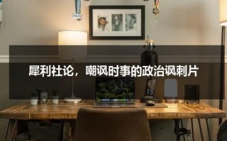 犀利社论，嘲讽时事的政治讽刺片（犀利形容人）