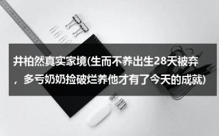 井柏然真实家境(生而不养出生28天被弃，多亏奶奶捡破烂养他才有了今天的成就)（井柏然住在哪）