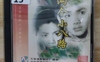 两个小八路电影(两个小八路电影观后感100字)