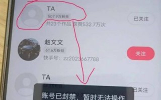 TikTok因禁令停止美国服务，魔仙哥麦凯恩影响几何？