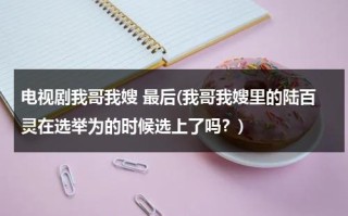 电视剧我哥我嫂 最后(我哥我嫂里的陆百灵在选举为的时候选上了吗？)（我哥我嫂陆百灵嫁给谁了）