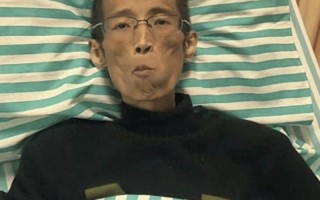 一路走好！43岁“抗癌网红”东东抗癌失败，遗言内容令人泪目！（抗癌红人）